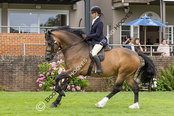 The Agria Royal International Horse Show