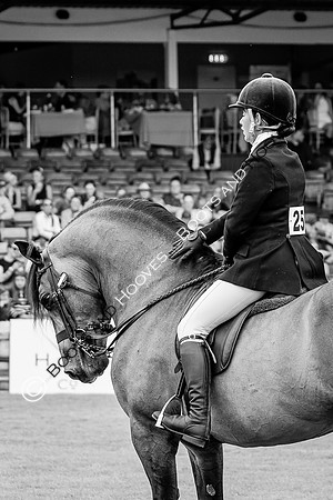 The Agria Royal International Horse Show