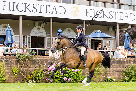 The Agria Royal International Horse Show