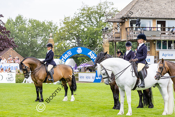 The Agria Royal International Horse Show