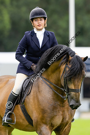 The Agria Royal International Horse Show