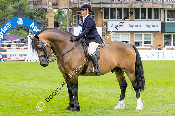The Agria Royal International Horse Show
