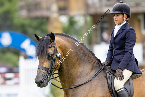 The Agria Royal International Horse Show