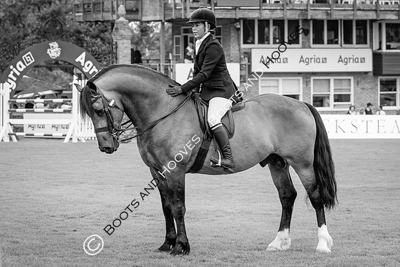 The Agria Royal International Horse Show