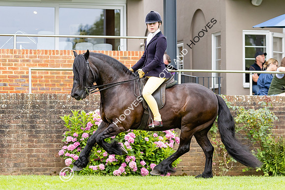 The Agria Royal International Horse Show