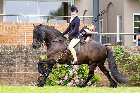 The Agria Royal International Horse Show