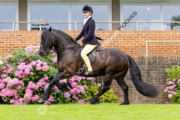 The Agria Royal International Horse Show
