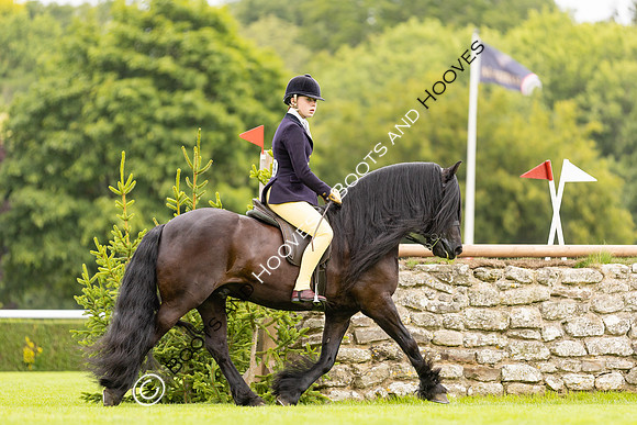The Agria Royal International Horse Show
