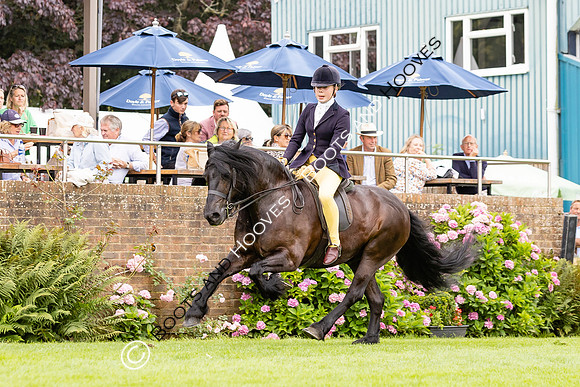 The Agria Royal International Horse Show