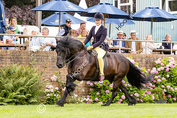 The Agria Royal International Horse Show