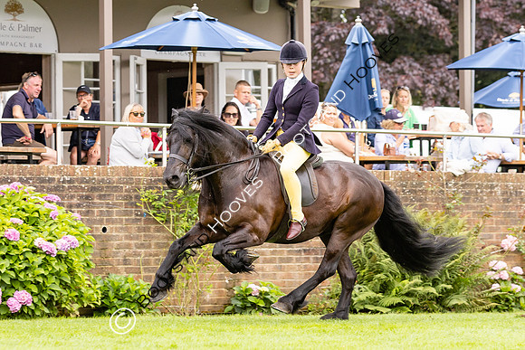 The Agria Royal International Horse Show