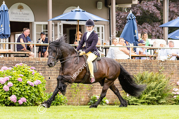 The Agria Royal International Horse Show