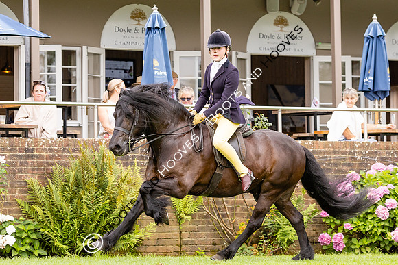 The Agria Royal International Horse Show