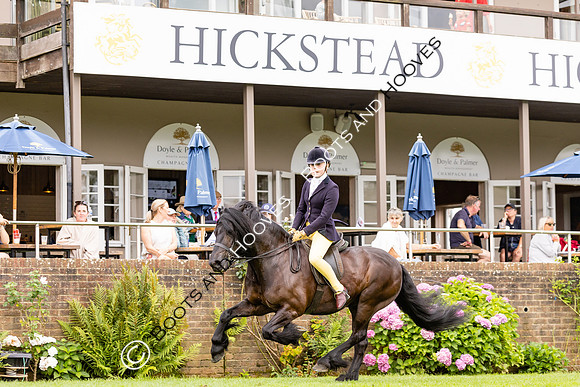 The Agria Royal International Horse Show