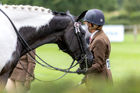 The Royal International Horse Show