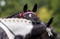 The Royal International Horse Show