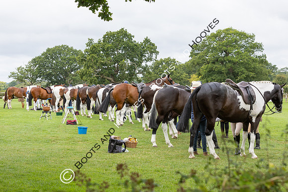 The Royal International Horse Show