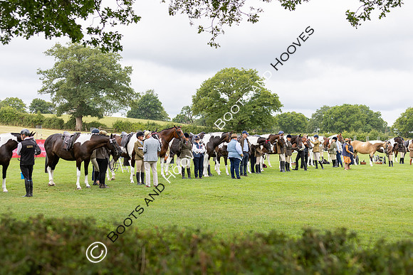 The Royal International Horse Show