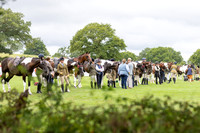 The Royal International Horse Show