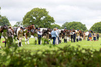 The Royal International Horse Show