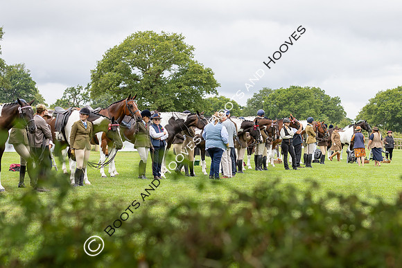 The Royal International Horse Show