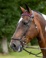 The Royal International Horse Show