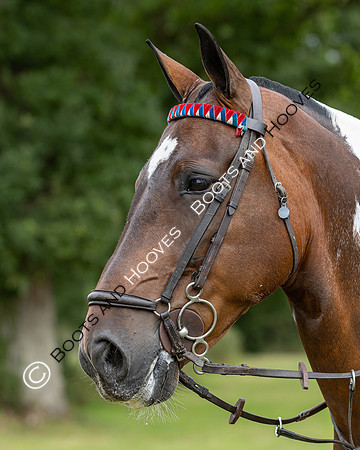The Royal International Horse Show