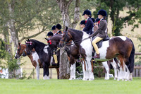 The Royal International Horse Show