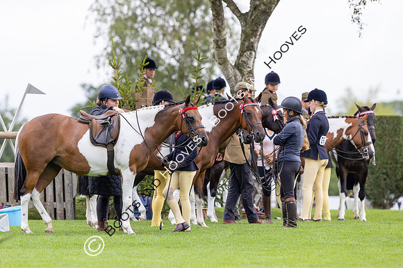 The Royal International Horse Show