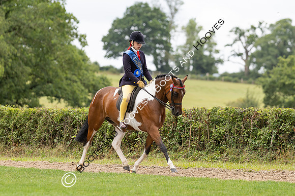 The Royal International Horse Show