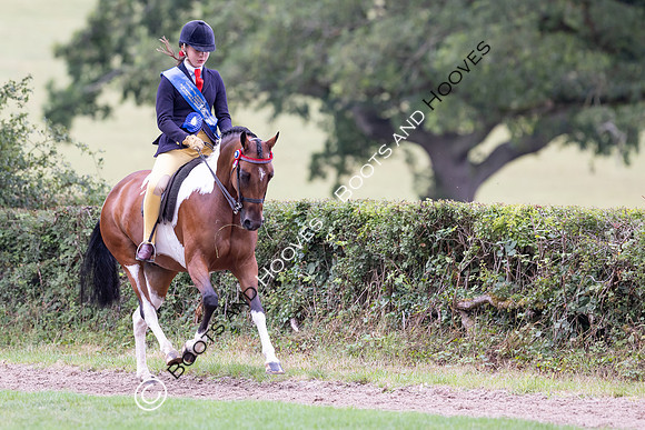 The Royal International Horse Show