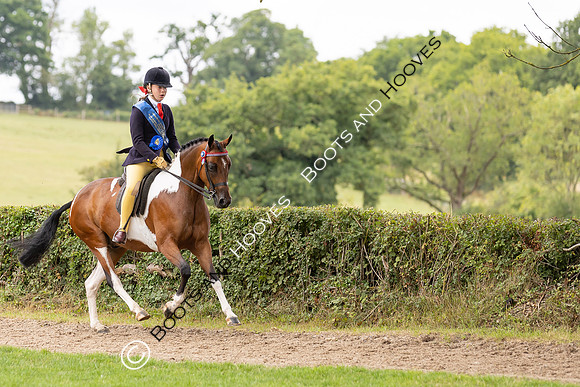 The Royal International Horse Show