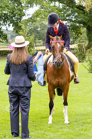 The Royal International Horse Show