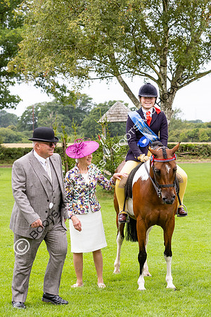 The Royal International Horse Show