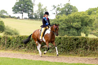 The Royal International Horse Show