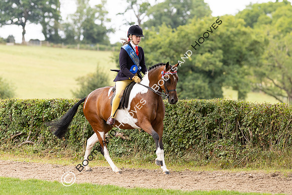 The Royal International Horse Show