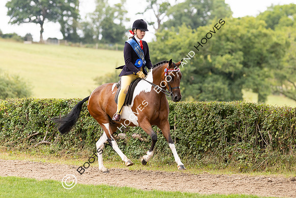 The Royal International Horse Show