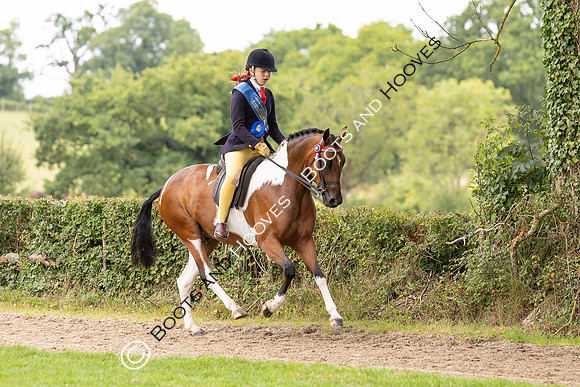 The Royal International Horse Show