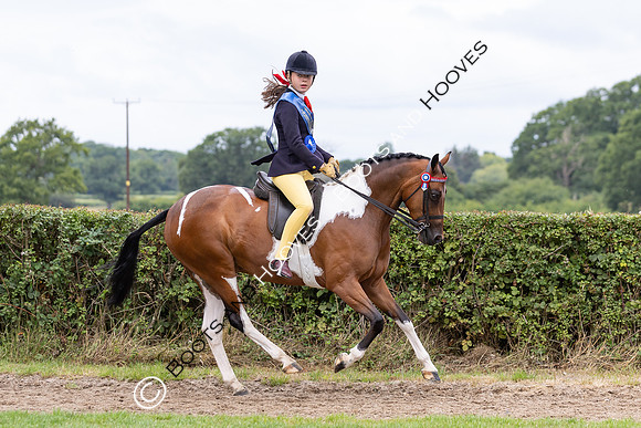 The Royal International Horse Show