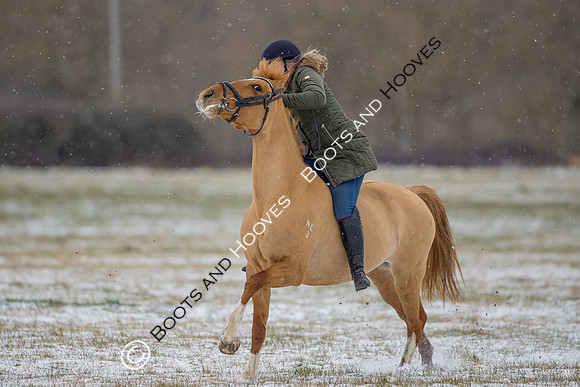 Snow Day