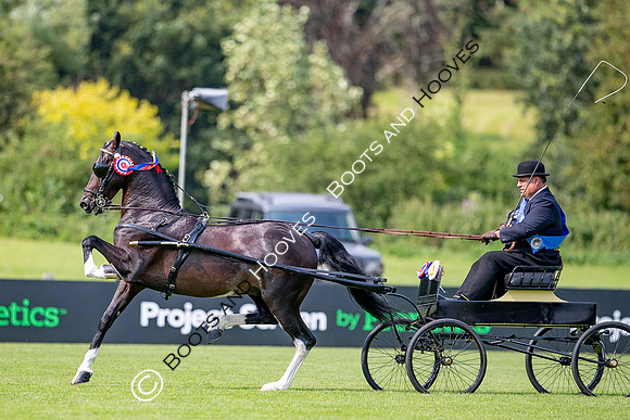 The Prenetics Royal International Horse Show