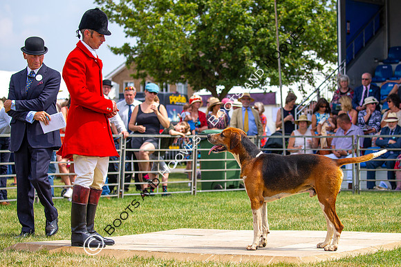 Festival of Hunting
