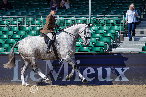 Royal Windsor Horse Show