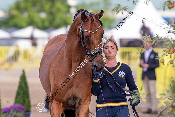 The FEI World Championships Herning 2022