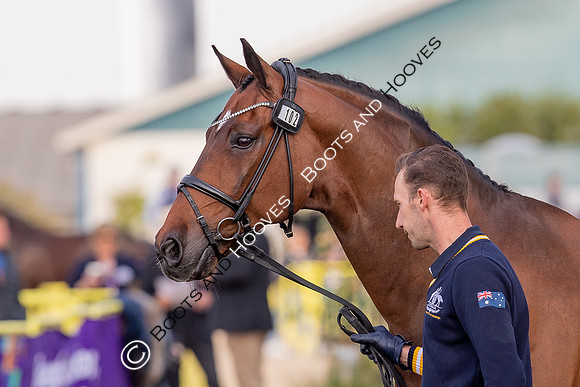 The FEI World Championships Herning 2022