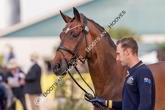 The FEI World Championships Herning 2022