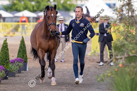 The FEI World Championships Herning 2022