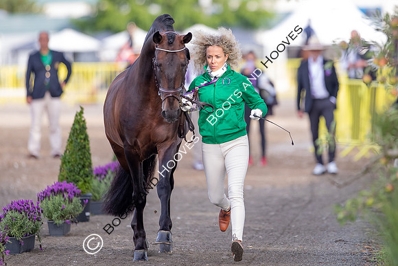 The FEI World Championships Herning 2022