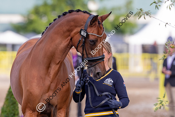 The FEI World Championships Herning 2022