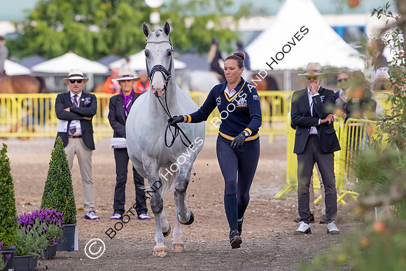 The FEI World Championships Herning 2022